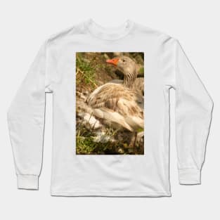 ibs mother goose Long Sleeve T-Shirt